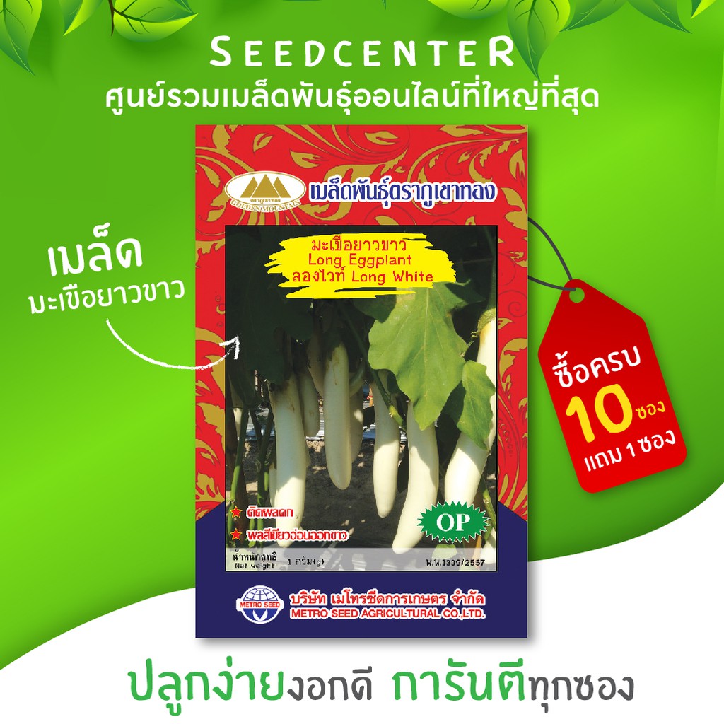 เมล็ดมะเขือยาวขาว ขนาด 1 กรัม ภูเขาทอง