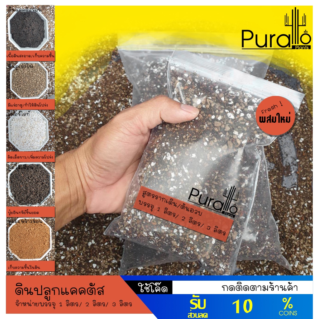 ดินปลูกแคคตัส ดินผสมพร้อมปลูก ดินปลูกกระบองเพชร ดินปลูกไม้อวบน้ำ #ดินปลูก #cactus #ไม้อวบน้ำ