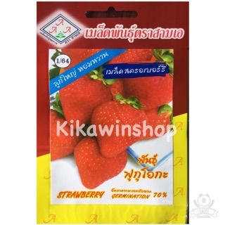 เมล็ดพันธุ์ สตรอเบอร์รี่ สตรอเบอรี่ strawberry พันธุ์ฟุกุโอกะ