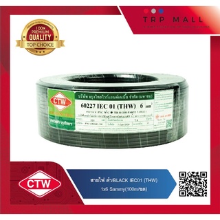 CTW สายไฟ IEC01 (THW) IEC01 ขนาด 6 sq.mm. ยาว 100 เมตร/ขด