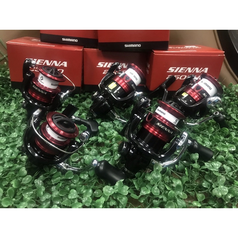 รอก Shimano Sienna 2019