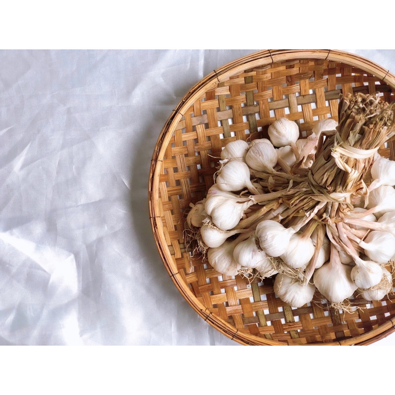 กระเทียมไทยปลูกแบบอินทรีย์ตามฤดูกาล Thai garlic