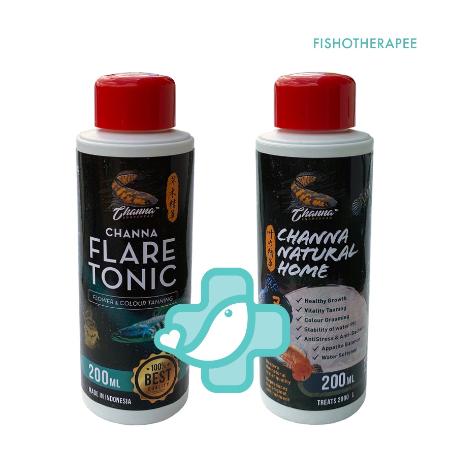 Channa Snakehead Flare Tonic Natural Home Black Water Tanning Grooming Naik Colour.