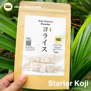 Starter Koji ชุดเริ่มต้นโคจิ .