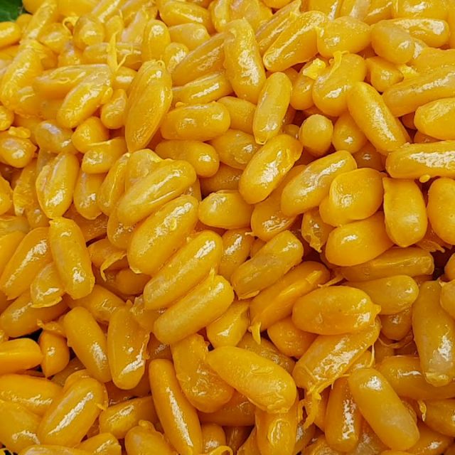 ดม็ดขนุนถั่ว ถุงล่ะ100เม็ดราคาเพียง95บาทพร้อมส่ง