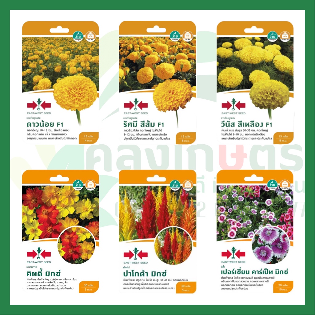 Seeds & Bulbs 27 บาท เมล็ดพันธ์ดอกไม้ ตราศรเเดง Home & Living