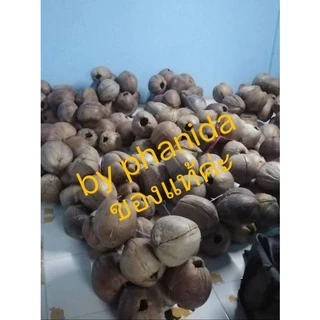 มะพร้าวรังนก รังกระรอก ของแท้ต้องร้าน Phanida300357เท่านั้นค่ะนอกนั้นปลอม