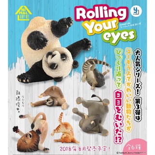 (เพิ่ม 2 แบบพร้อมส่ง) โมเดลสัตว์ตีลังกา Model ANIMAL LIFE Rolling Your Eyes โมเดลสัตว์