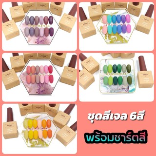 ชุดสีเจล HANA 6สี ขนาด 10ml. (มีให้เลือก11ชุด)