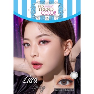 Protrend Color คอนแทคเลนส์ Lisa Gray