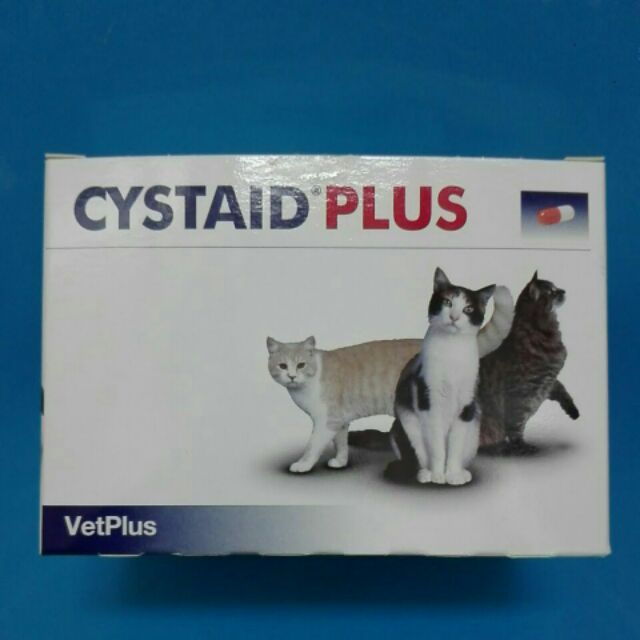 exp03/25 พร้อมส่ง cystaid plus cystaid อาหารเสริมสำหรับแมว อาหารเสริมความแข็งแรงกระเพาะปัสสาวะแมว urinary support