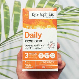 ไคโอลิก โปรไบโอติก Kyo-Dophilus Daily Probiotic 180 Capsules (Kyolic®)