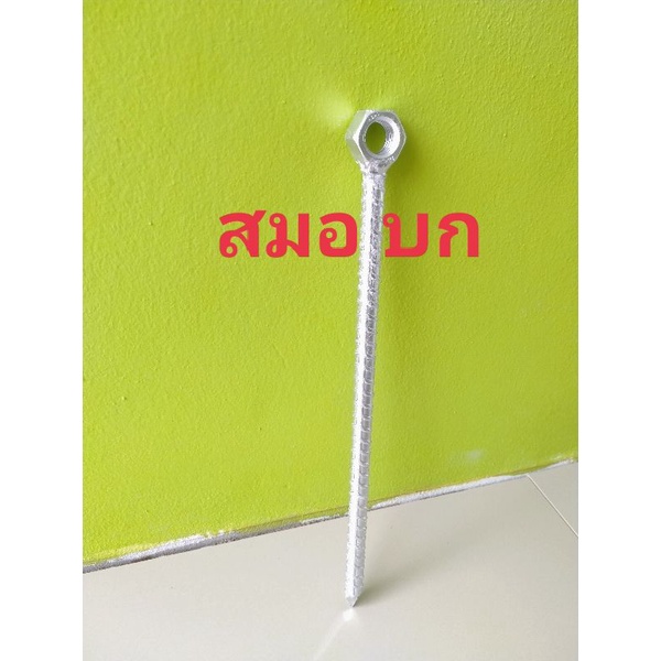 สมอบก สมอปักเต้น แข็งแรง