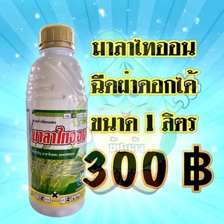 มาลาไทออน ยาเย็น ป้องกันและกำจัด เพลี้ยไฟ ไรแดง เพลี้ยไก่แจ้ แมลงหวี่ขาว ขนาด 1 ลิตร