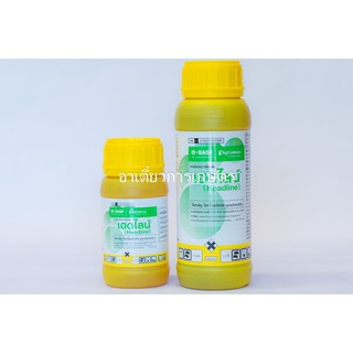 เฮดไลน์ 250 ml. (สารไพราโคลสโตรบิน) โรคใบจุด โรคใบจุดสีม่วง โรคใบไหม้แผลใหญ่ โรคยางไหล โรคแอนแทรคโนส โรคกุ้งแห้งพริก