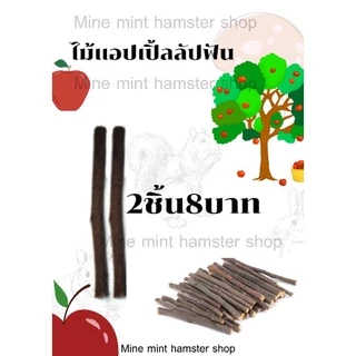 (MMPetShop)ลูกสน วอนัท ไผ่หวาน ไม้แอปเปิ้ล และ เซตลับฟัน ไว้ลับฟันหนูแฮมสเตอร์และสัตวและขนาดเล็กอื่นๆ