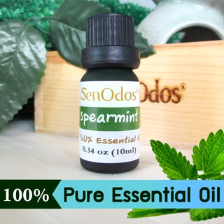 SenOdos  น้ำมันหอมระเหยแท้ กลิ่นสเปียร์มิ้นต์ Spearmint Pure Essential Oils