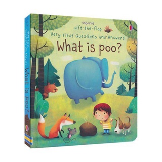 📚 Usborne Lift-the-Flap "What is poo?