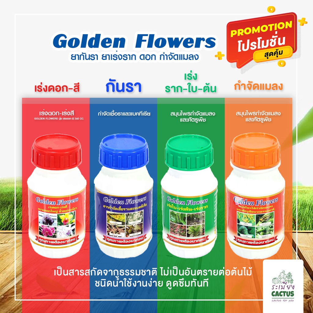 🌵จุลินทรีย์ GOLDEN FLOWERS🌵 💥สารสกัดจากธรรมชาติ 250cc. ยาเร่งราก ยากันรา ยากันแบคทีเรีย กันแมลง ปัญห