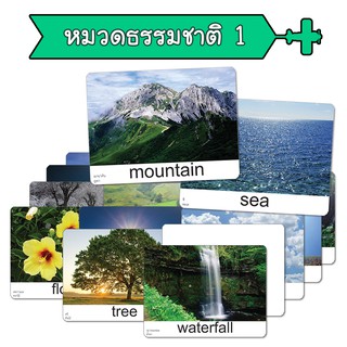 แฟลชการ์ด หมวดธรรมชาติ 1 Nature  บัตรคำ แนวการสอนเดียวกับ ชิจิดะ เฮกุรุ บัตรคำศัพท์  Flashcard