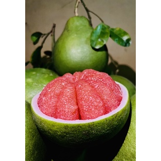 ราคา(pomelo fruit) ส้มโอทับทิมสยามน้ำหนัก1.5-1.6ก.ก กล่องละ3ลูก