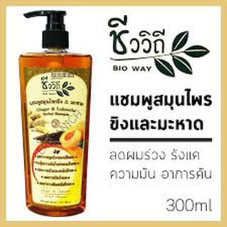 ชีววิถี แชมพูสมุนไพรขิง &amp; มะหาด ลดผมร่วง สร้างผมใหม่ ลดความมัน แก้คัน รังแค 300ml