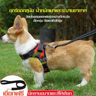 ปลอกคอสุนัข สายจูง ชุดสายรัดตัว สายจูงรัดอก ชุดสายจูงสุนัข ชุดรัดอกพร้อมเชือกจูง มีขนาดให้เลือก