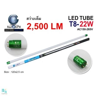 IWACHI ชุดหลอดไฟ LED พร้อมราง T8 22W (ขาสปริง) แบบยาว หลอดไฟนีออนพร้อมราง LED ฟลูเซ็ท LED (1 ชุด)