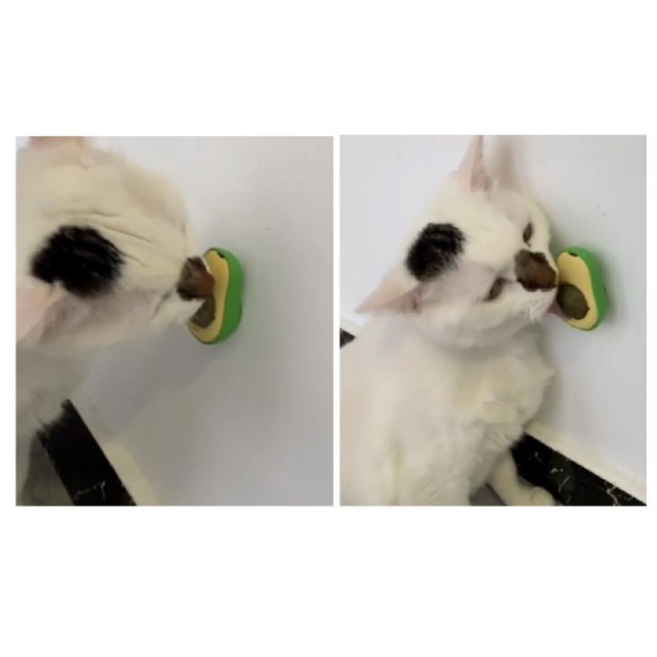 [ABC cat] รวมแคทนิป ไม้มาทาทาบิ ขัดฟันแมว แคทนิปบอลแมว ของเล่นแมว ของเล่นสัตว์เลี้ยง - รูปที่ 2