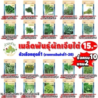 เจียไต๋15฿#2 [10แถม2] เมล็ดพันธุ์ผัก สวนครัว เจียไต๋ มะเขือเทศ พริก มะเขือ มะนอยออมแอม น้ำเต้า มะระ เมล็ดพืช เม็ดผัก