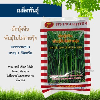 เมล็ดพันธุ์ผักบุ้ง 1 กิโลกรัม ผักบุ้งพันธุ์ใบไผ่สายรุ้ง ผักบุ้งตราขวาน ตราขวานทอง