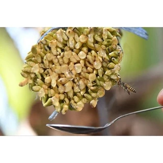 น้ำช่อดอกมะพร้าวOrganic100% CoCoflower ผลิตจากเกสรดอกมะพร้าว ไม่แท้ยินดีคืนเงิน1000เท่า ตรวจสอบได้ ไม่เติมน้ำตาลค่า4289