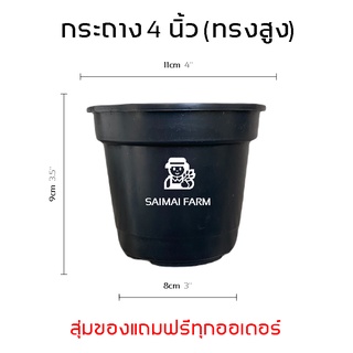 กระถางพลาสติก 4 และ 6 นิ้ว ทรงสูง ปากหนา กระถางกระบองเพชร | Plastic pots 4 and 6 inches tall, thick mouth, cactus pots