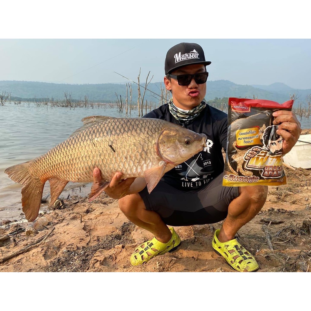 🔥โปร3ถุง🔥 เหยื่อตกปลา เฟี๊ยบ ลุงอดัม สูตร 1 กินยกฝูง บ่อแข่งก็ใช่ หมายธรรมชาติก็ชอบ - รูปที่ 3