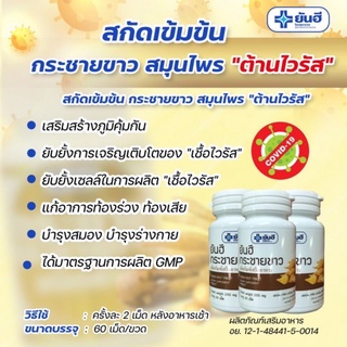 กระชายขาวสกัดโรงพยาบาลยันฮีของแท้ มีเลขที่ อย. 12-1-48441-5-0021 บรรจุ 60 เม็ด