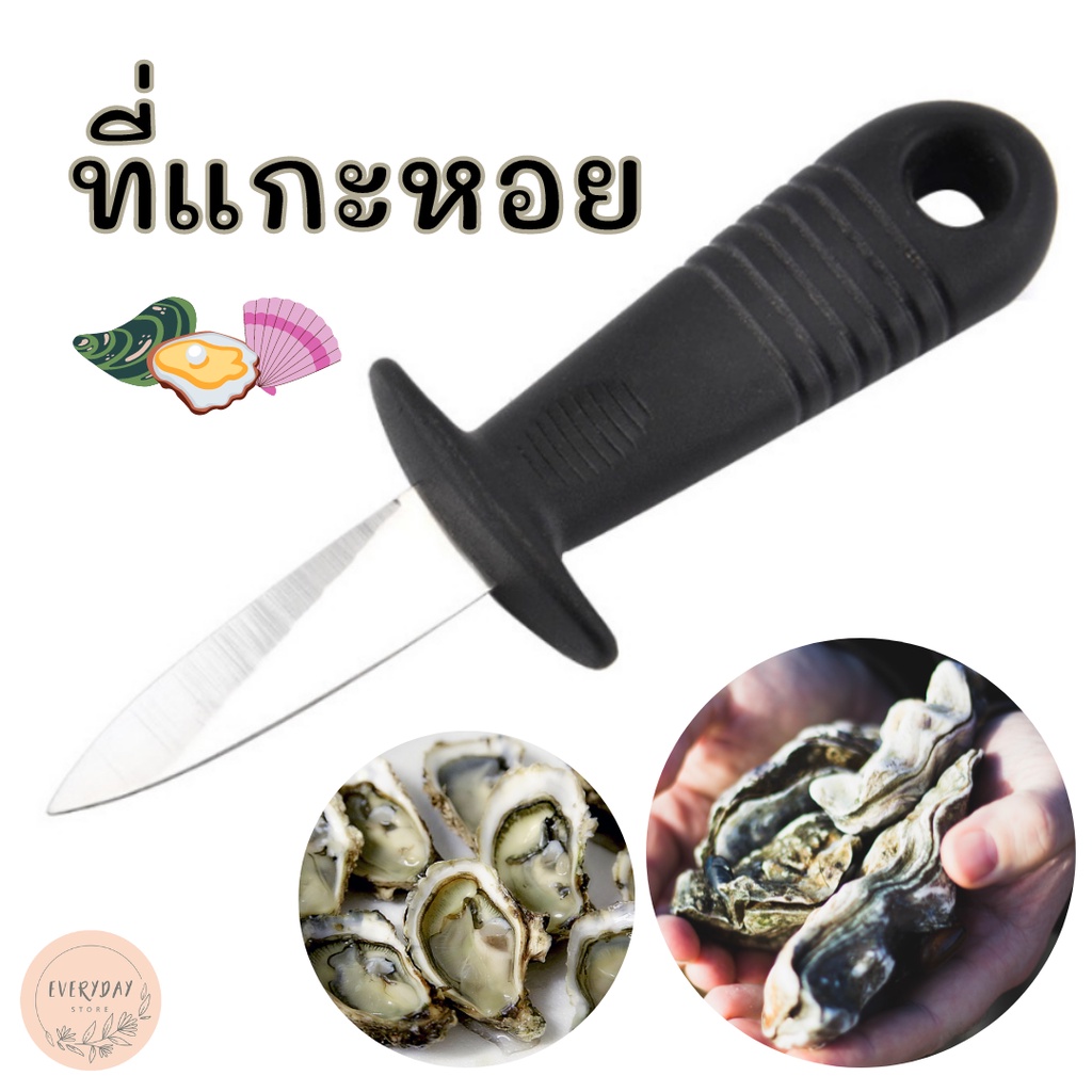 มีดแกะหอยนางรม เปิดฝาหอย สแตนเลส