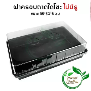 [อย่างหนามาก]เกษตรเงินล้าน ถาดไดโซะ ถาดเพาะกล้า จัดระเบียบต้นไม้ ให้สวยงาม