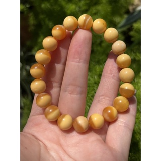 กำไลหิน Chrismatite Yellow Jade 10.3 mm