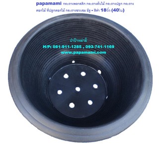 (40ใบ) papamami กระถางชวนชม มีรู - สีดำ 18นิ้ว กระถางบอนไซ อ่างชวนชม กระถางพลาสติก กระถางต้นไม้ กระถางดอกไม้ อ่างปลูกต้น