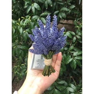 Wallflowers Plug(ตัวปลั๊ก) bath&body works ใช้ร่วมกับน้ำหอมรีฟิว