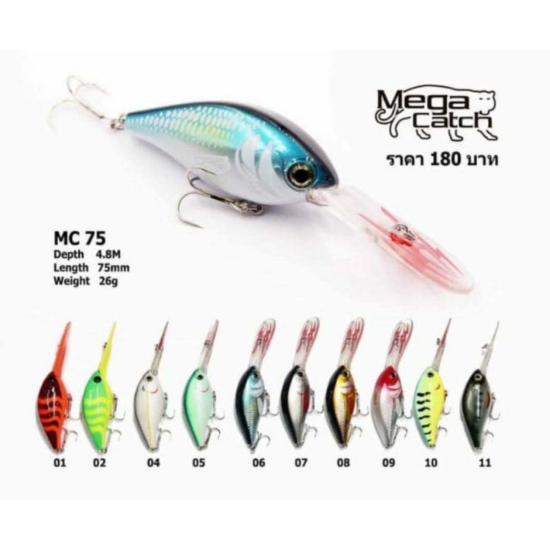 เหยื่อ​ ตีจิบ​ งานชะโด​ Mega​ Catch