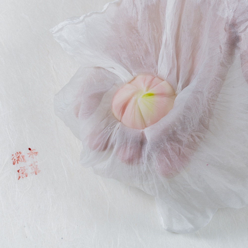 ญี่ปุ่น Wagashi เครื่องมือ Wagashi ผ้าไหมผ้าไหมผ้าชา Twist ผ้าพันคอ DMwagashi DMwagashi