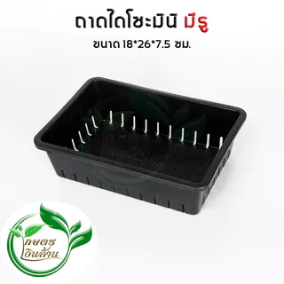 [อย่างหนามาก]เกษตรเงินล้าน ถาดไดโซะ ถาดเพาะกล้า จัดระเบียบต้นไม้ ให้สวยงาม