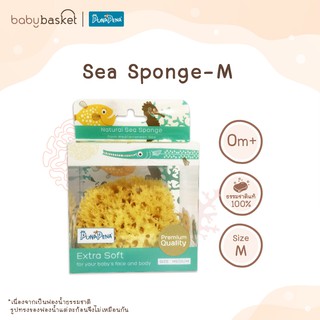 Punapena Sea Sponge Honeycomb ฟองน้ำธรรมชาติเด็ก ขนาด M