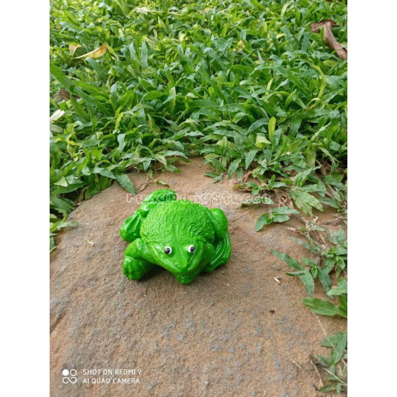 ตุ๊กตาปูนปั้นกบตกแต่งสวนสวยมีให้เลือก 2 สี น่ารักมาก สนใจสั่งซื้อได้คะ ราคาถูก ราคา ถูกที่สุด ดีลบีเคเค แกลเลอรีภาพที่ 4