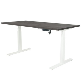 Desk STANDING DESK ERGOTREND SIT 2 STAND GEN2 180CM TWILIGHT ELM/WHITE Office furniture Home &amp; Furniture โต๊ะทำงาน โต๊ะท