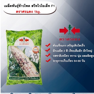 เมล็ดพันธุ์ข้าวโพด สวีทไวโอเล็ท F1 ตราศรแดง 1kg.