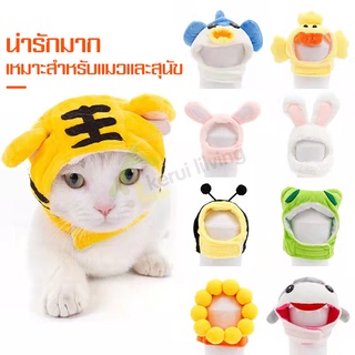 หมวกสัตว์เลี้ยง หมวกน้องหมา น้องแมว Pet Hat แฟชั่นสัตว์เลี้ยง หมวกคลุมหัวสัตว์เลี้ยง นุ่มมาก สบาย อุปกรณ์สัตว์เลี้ยง