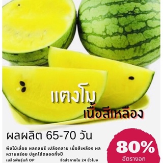 เมล็ดพันธุ์ แตงโมเหลือง 25 เมล็ด แตงโมเนื้อสีเหลือง Yellow watermelon แตงโม (ซื้อ 10 แถม 1 คละอย่างได้)