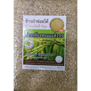 ข้าวกล้องหอมมะลิ 105 🌾 ข้าวป่าข่อยใต้